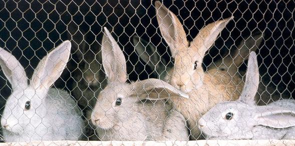 enrejado-triple-torsin