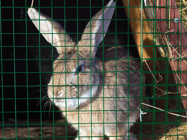 mallaelectrosoldadaplastificada