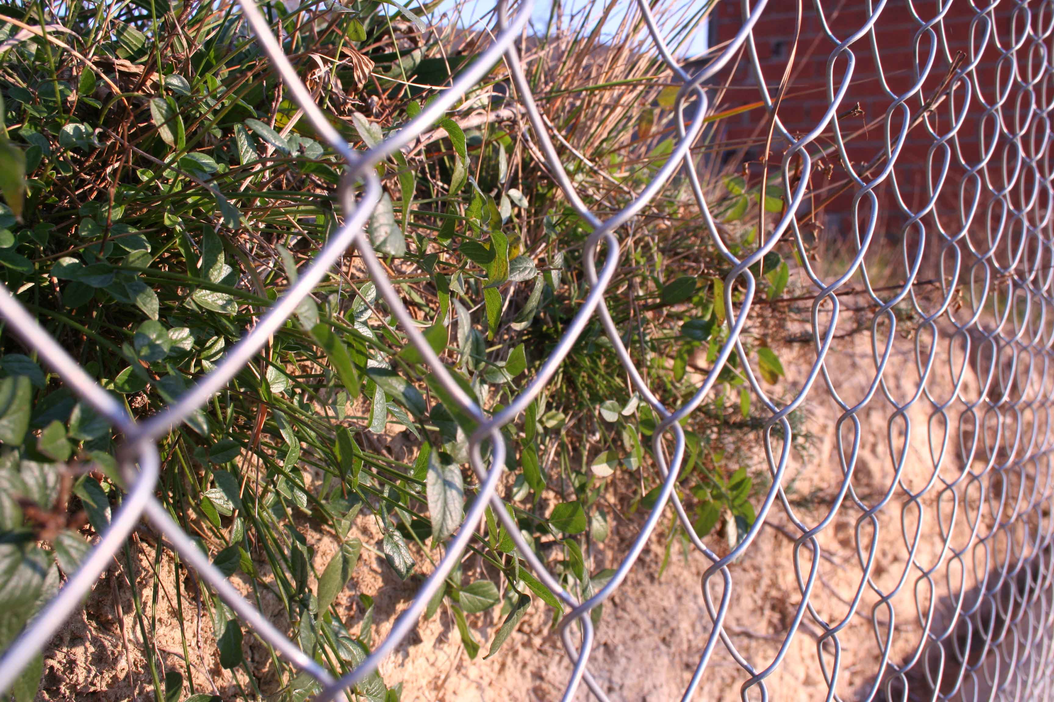 mallasimpletorsiongalvanizada